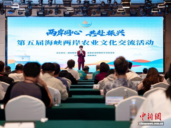 全球赛事聚焦：最新体育动态与分析 - 问鼎娱乐官网3
